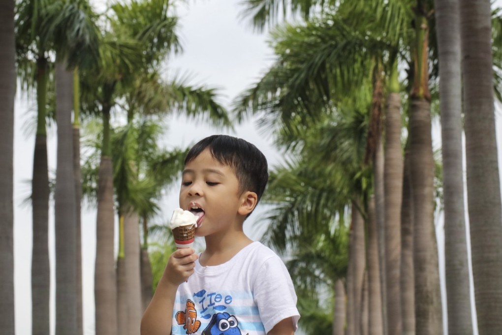 ‘The FEHD’s licensing system for selling ice cream dates back to the days when refrigeration was not universal and the risk of contaminated dairy products was real’. Photo: Felix Wong