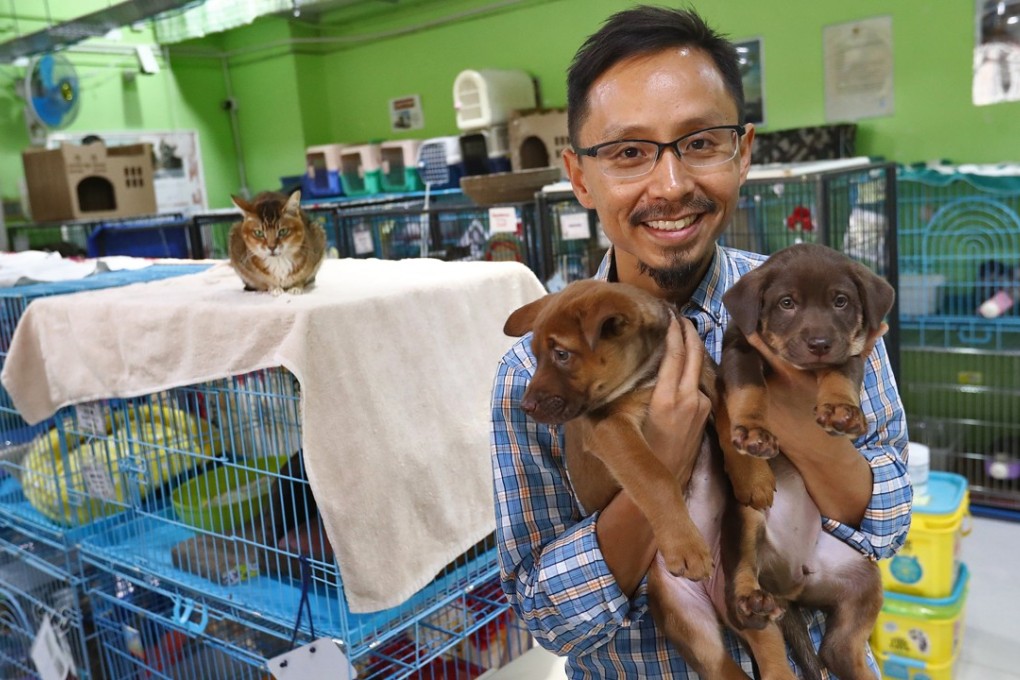 Chang Chuen-man is working on a project to rescue dogs in Nepal. Photo: Nora Tam