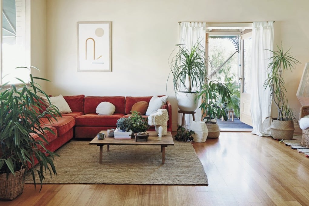 Not only can plants improve a home’s looks, they are good for health and help clean the indoor air.