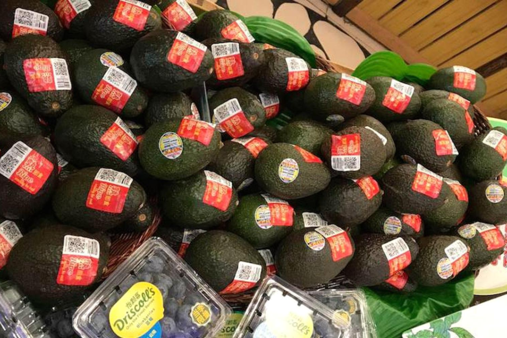 Display of the avocados at a fruit store in China. Photo: Mission Produce