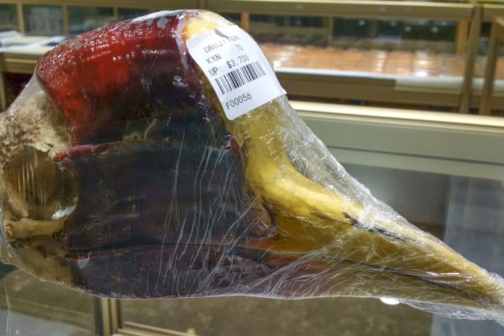 A helmeted hornbill head on sale for US$3,700 in Vientiane, Laos, in April 2016. Picture: Kanitha Krishnasamy, Traffic