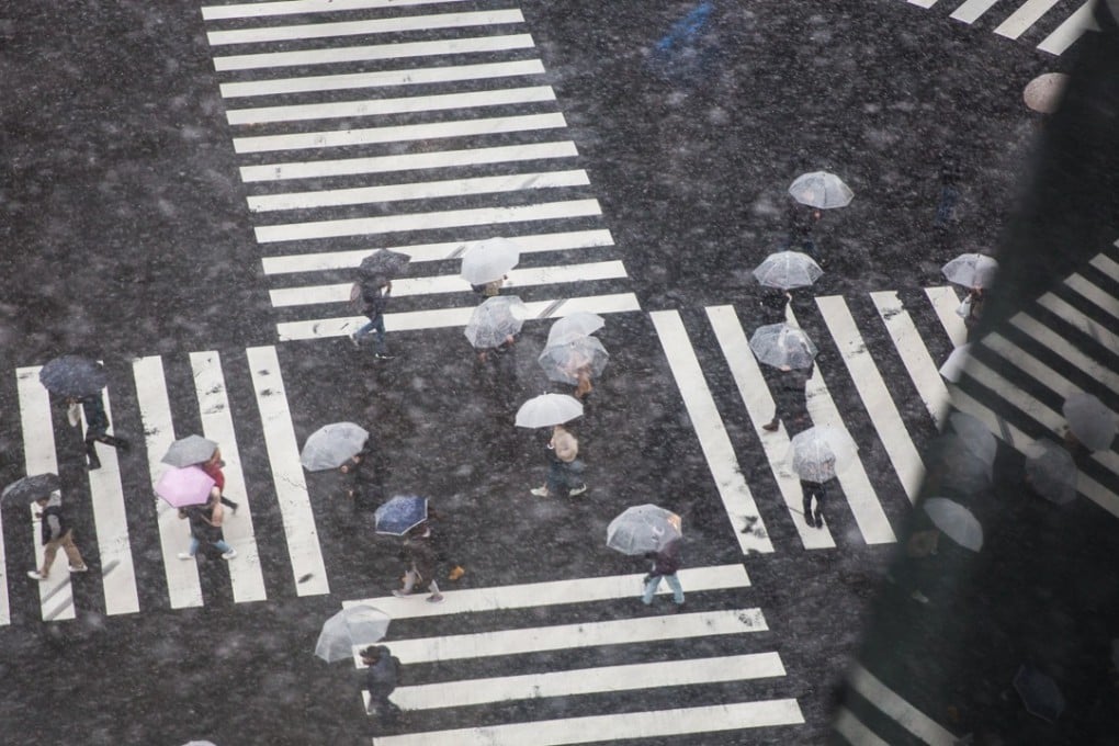 Pedestrians cross a street during heavy snowfall in central Tokyo. Photo: EPA