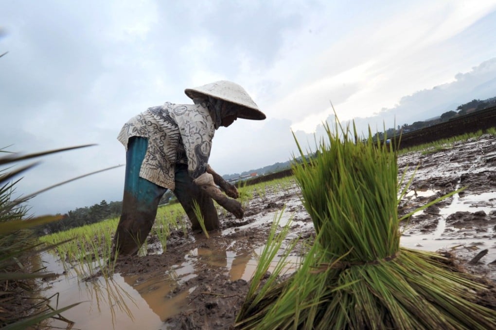 Mekar extends loans to small farmers and shop owners across Indonesia. Photo: AFP