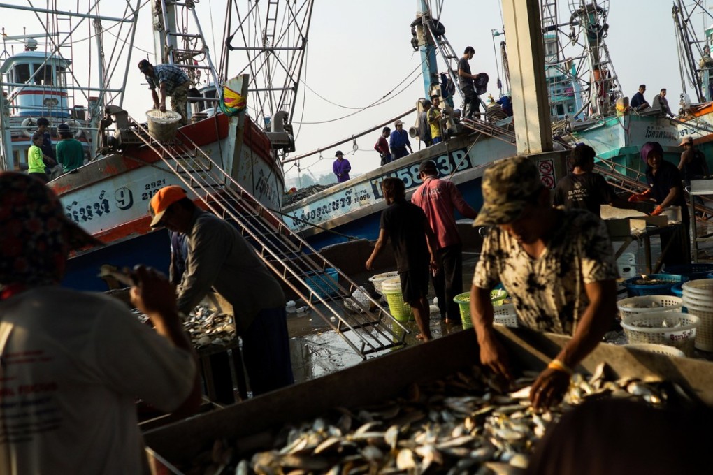Migrant workers sort fish and seafood at a port in Samut Sakhon province, Thailand. Photo: Reuters