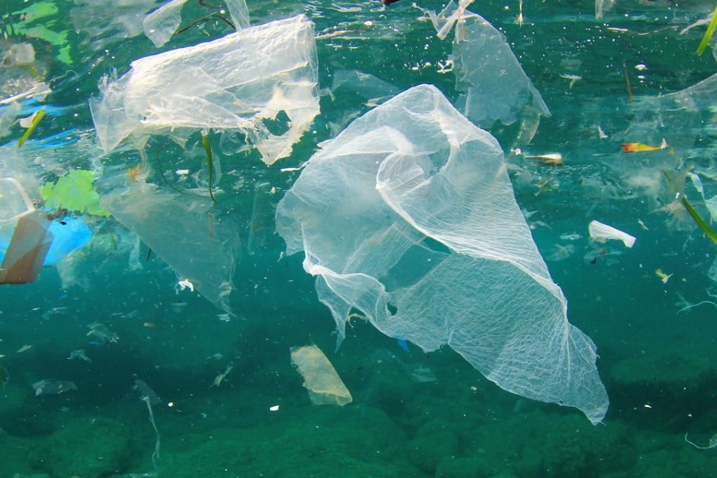 An Ellen MacArthur Foundation Report estimates that, by 2050, there will be more plastic in the ocean than fish if current trends continue. Photo: Shutterstock