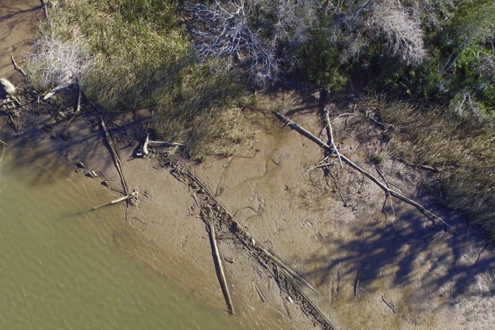 This aerial photo taken on January 2, 2018, in Mobile County, Alabama, shows the remains of a ship that could be the Clotilda, the last slave ship documented to have delivered captive Africans to the United States. The Clotilda was burned after docking in Mobile, Alabama, in 1860, long after the importation of humans was banned, and experts say the remains found by a reporter from Al.com could be what is left of the long-lost wreck. Photo: Al.com via AP