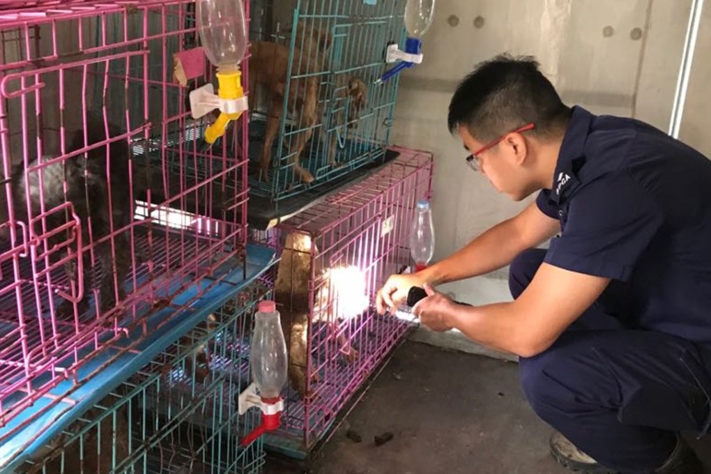 An officer from the Society for the Prevention of Cruelty to Animals rescues dogs from a cargo container in 2017. Photo: Handout