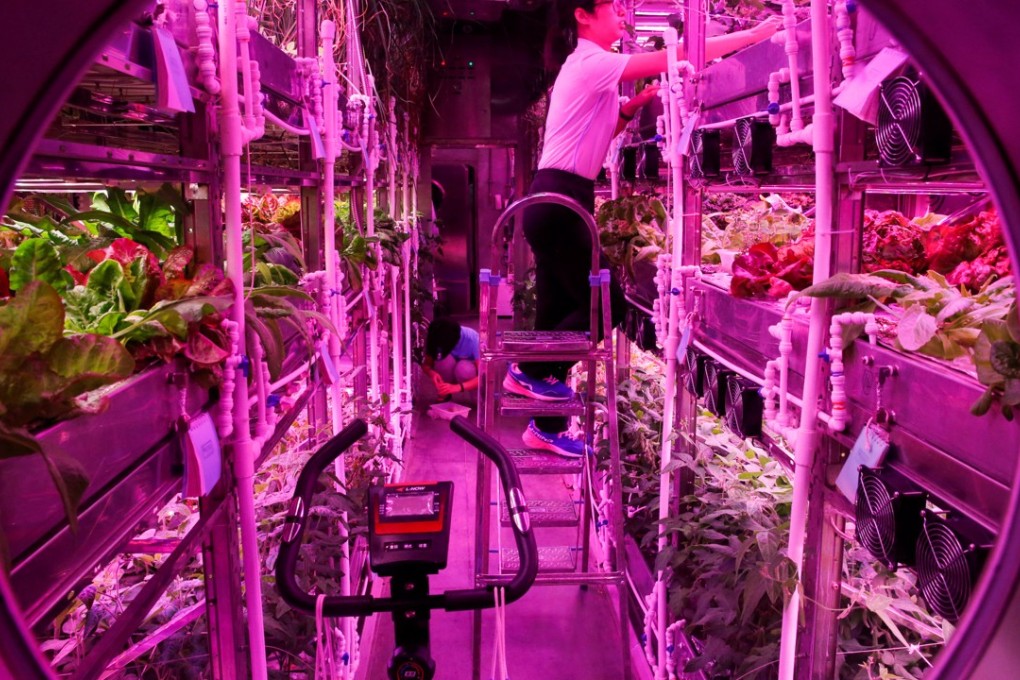 Volunteers inspect plants inside a simulated space cabin at Beihang University in Beijing. Photo: Reuters