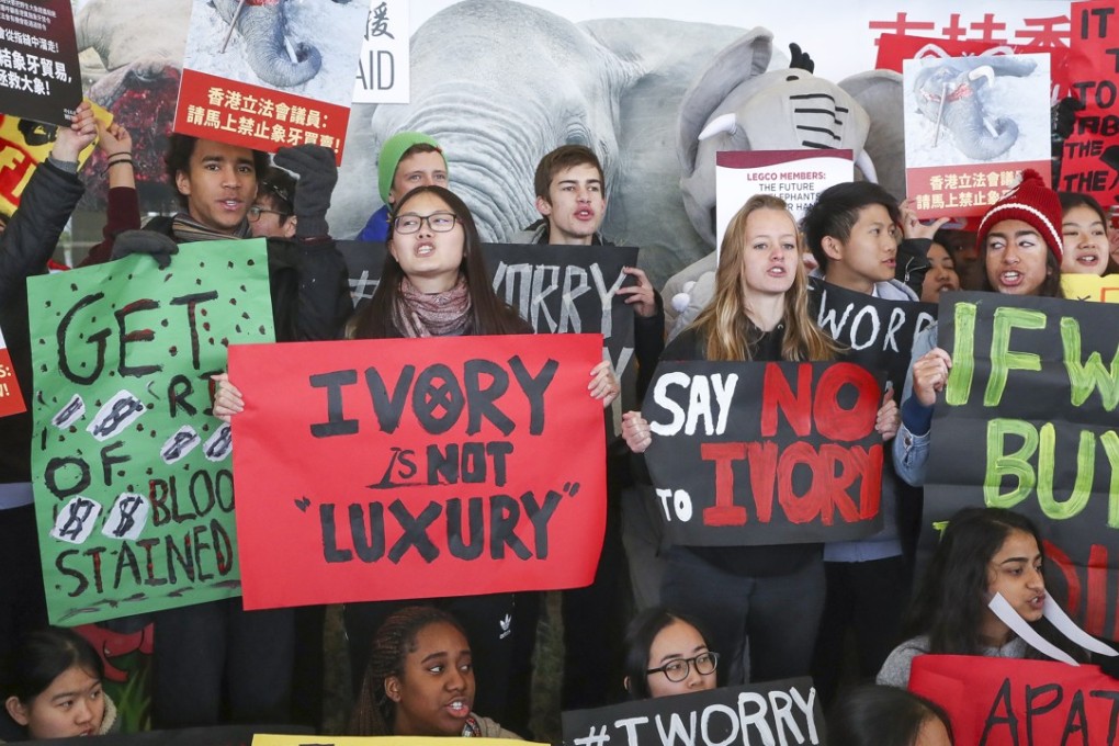 The sale of ivory will be completely banned by 2021. Photo: K. Y. Cheng
