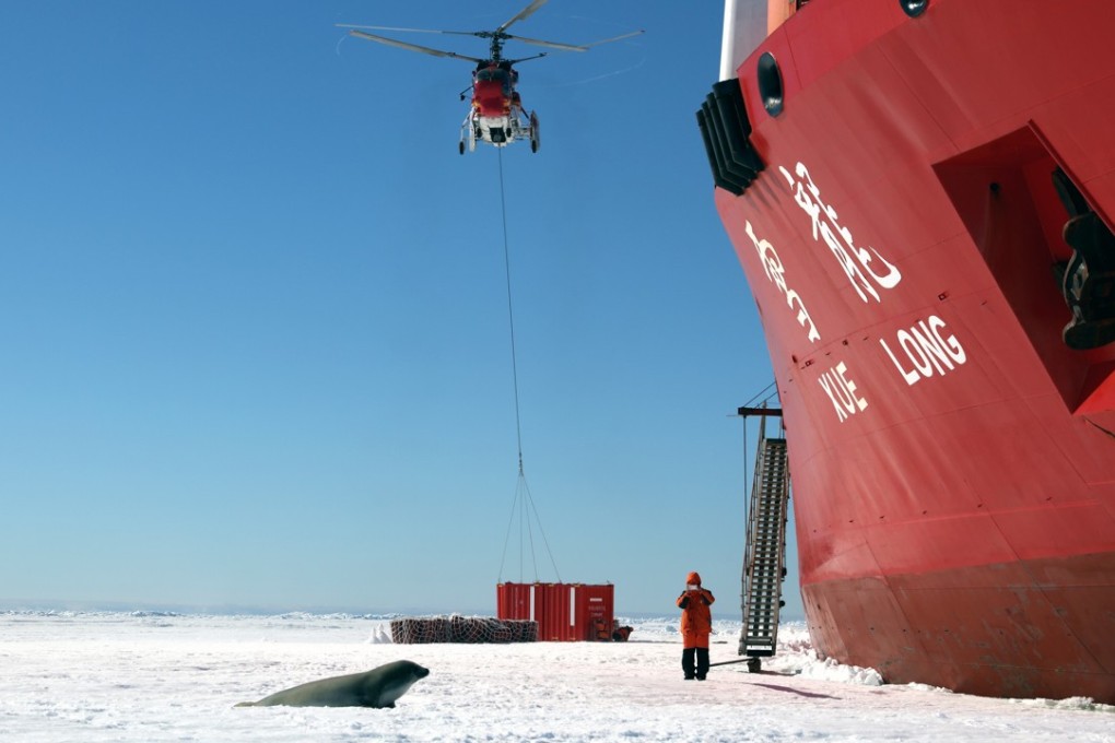 A seal draws near as the Chinese ice-breaker Xuelong unloads cargo on sea ice. Photo: Xinhua