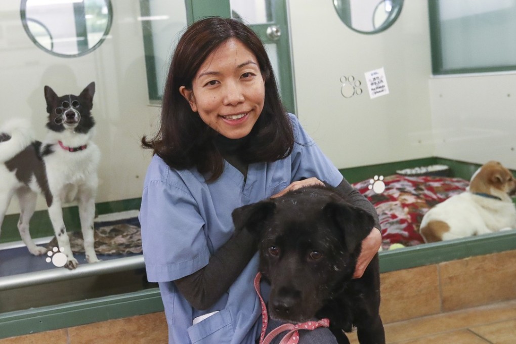 Teresa Lee Sy-jia, welfare programme manager at SPCA Hong Kong, advises pet owners to think carefully before owning an animal. Photo: Nora Tam