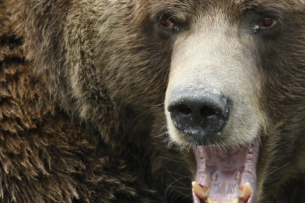 As far as asset allocation goes, there are few places left for investors to run and hide, writes David Brown. Photo: Reuters