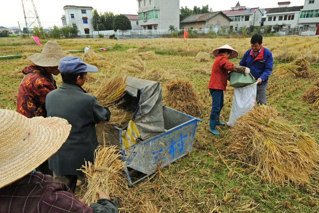 A file picture of workers harvesting rice in China’s eastern Zhejiang province. Photo: Xinhua