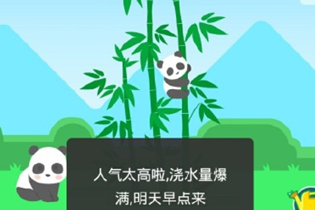 A screenshot of the game on social media. Photo: Weibo