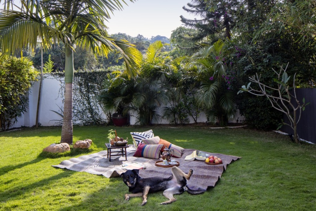 Perfect for a picnic, the garden is a haven for dog Latxa. Photography and video: John Butlin. Styling: David Roden. Photo assistant: Timothy Tsang.