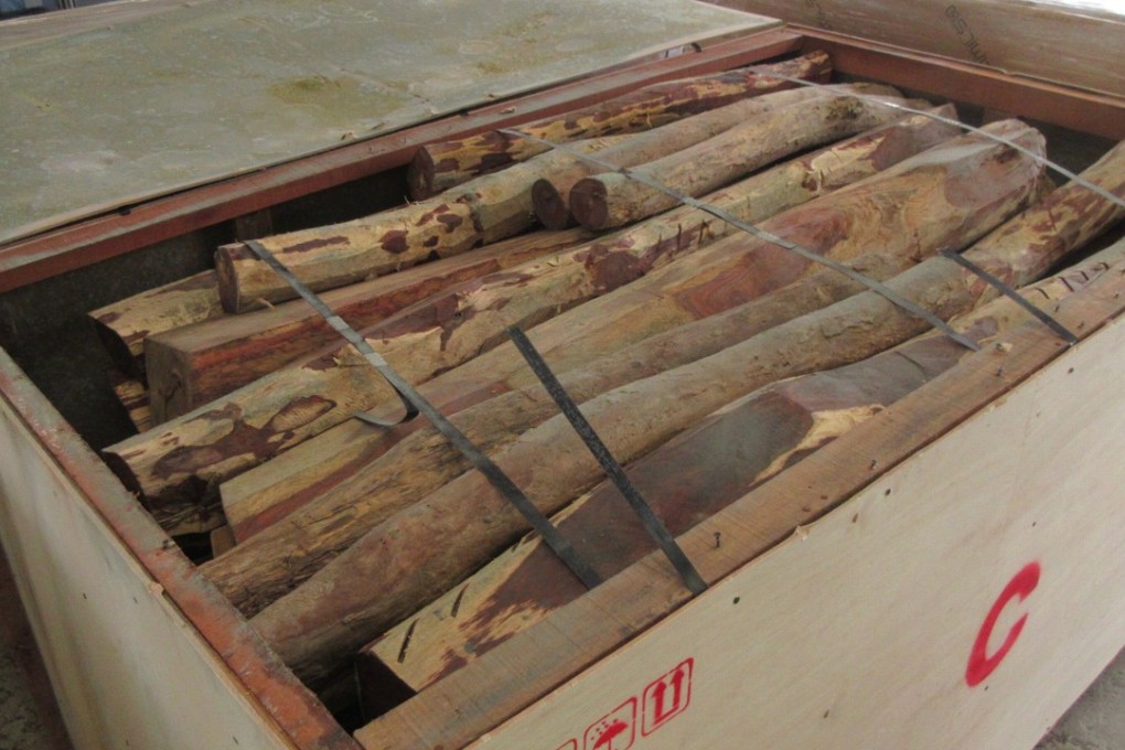 Customs seized about 26 tonnes of suspected Dalbergia specie logs from two containers. Photo: ISD