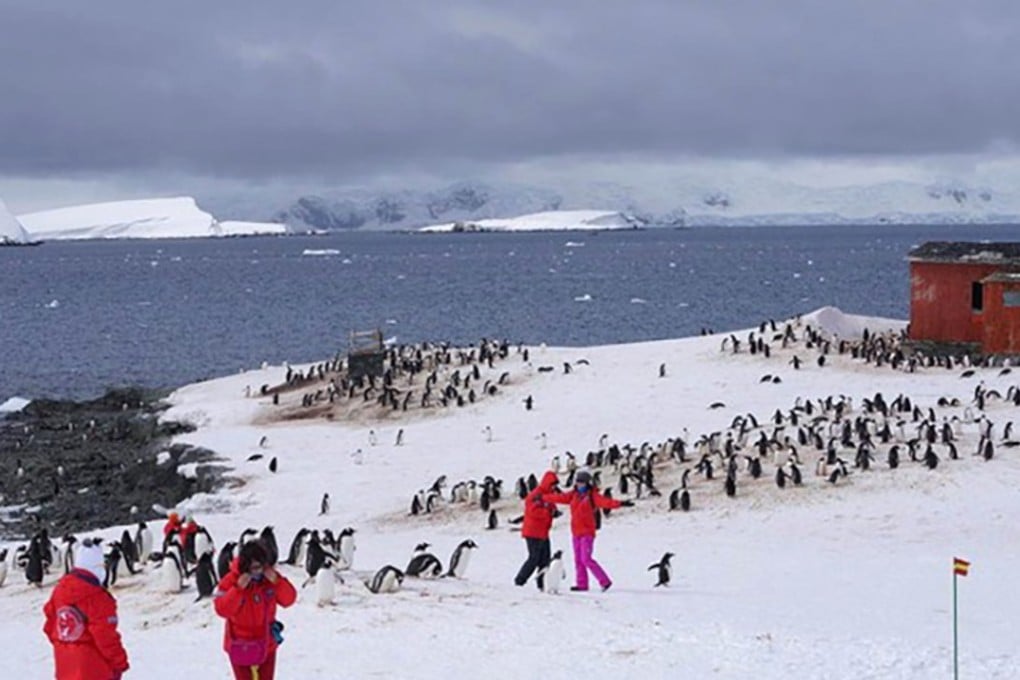 The Chinese government has introduced rules to govern the behaviour of its citizens in Antarctica. Photo: Handout