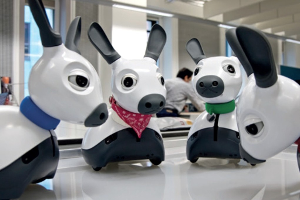 More humane choice of pet for Year of the Dog in Hong Kong How about a robot South China Morning Post