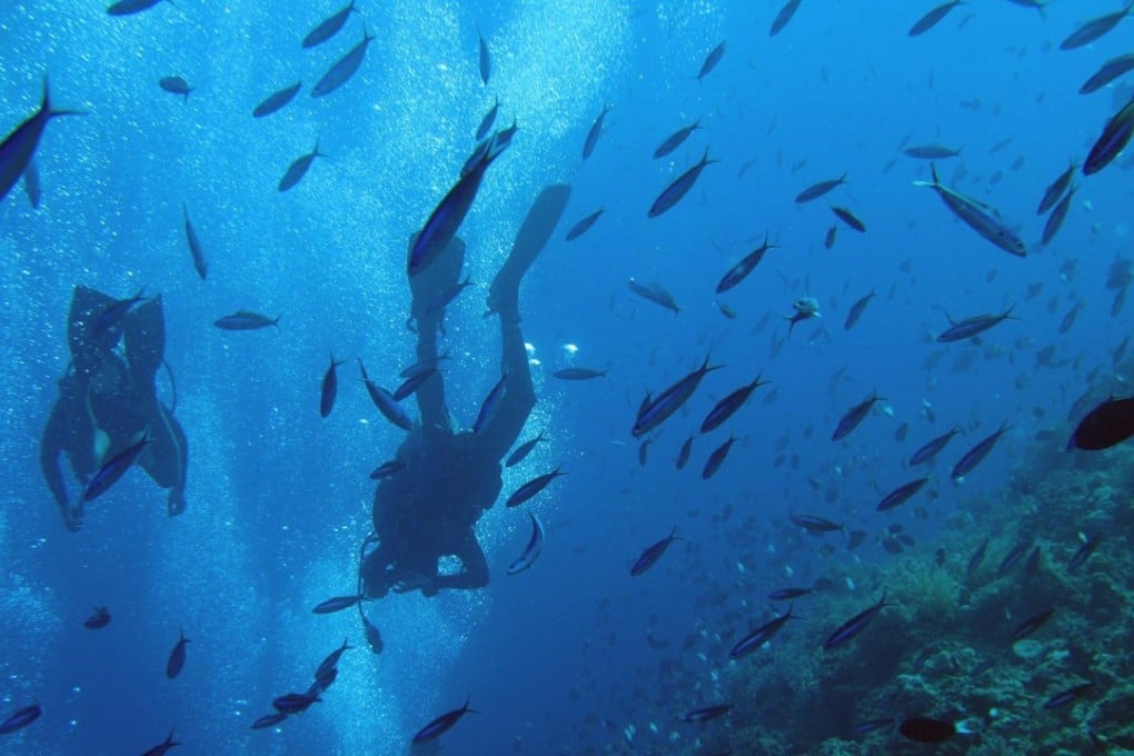 Apo Marine Park lies south of Manila in the Philippines. Photo: EPA