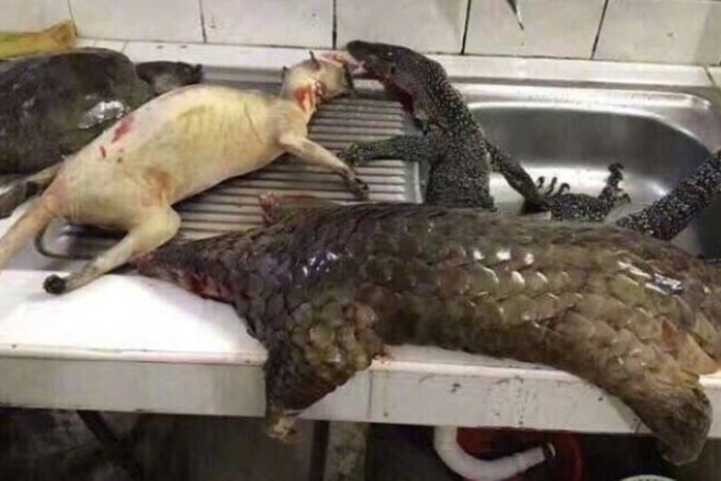 A Chinese man was given five days’ detention after posting gruesome images of dead animals, many of them rare or endangered species, online and joking that he was preparing them for a Lunar New Year feast. Photo: Weibo