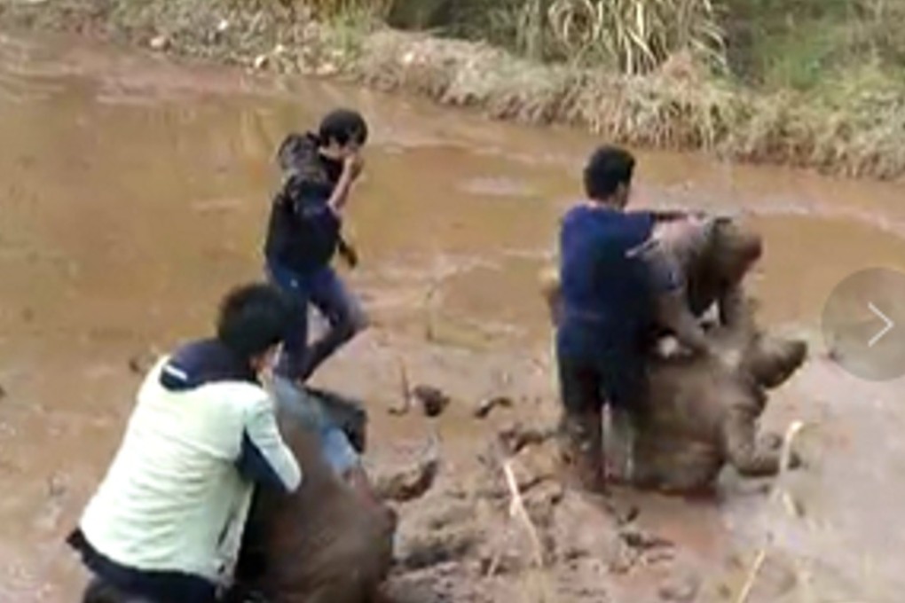 People try to break up the fighting in the paddy field. Photo: Sina.com.cn
