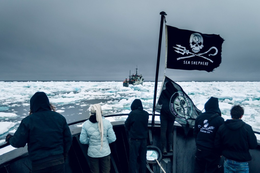The crew of the Bob Barker watching from the bow as the ship moves through thick ice floes in pursuit of illegal fishing vessel Thunder in 2015. Picture: Simon Ager/Sea Shepherd