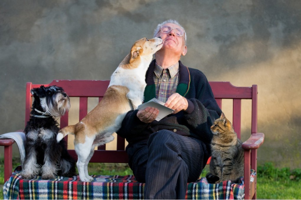 The increasing share of elderly population in Hong Kong and the loneliness that comes with the advancing years have led many seniors to be emotionally attached to their pets. Photo: Shutterstock