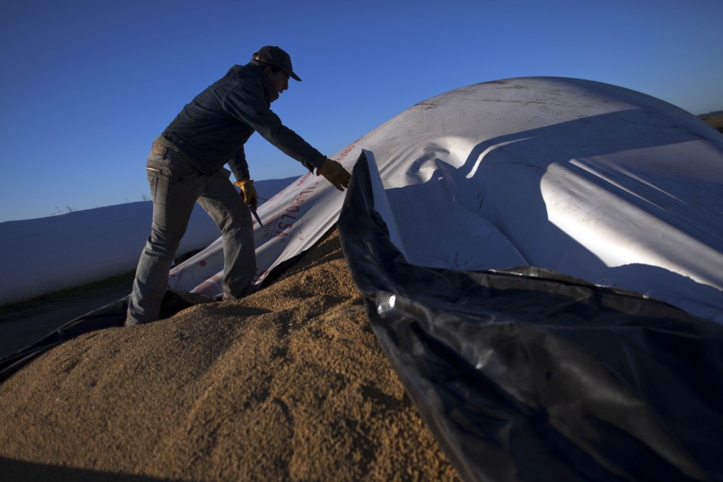 Chart of the day: Building to a soybean burst