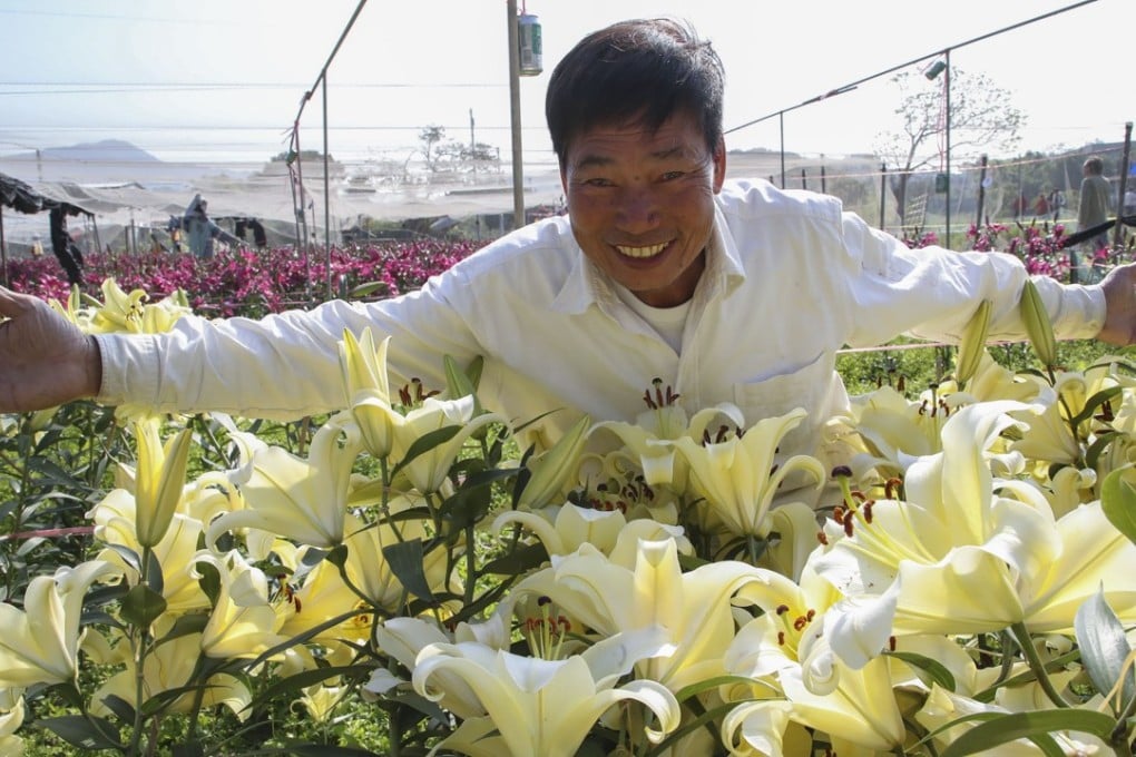 Leung Yat-shun, owner of Shun Sum Farm, a flower farm in San Tin, Yuen Long. Photo: Edward Wong