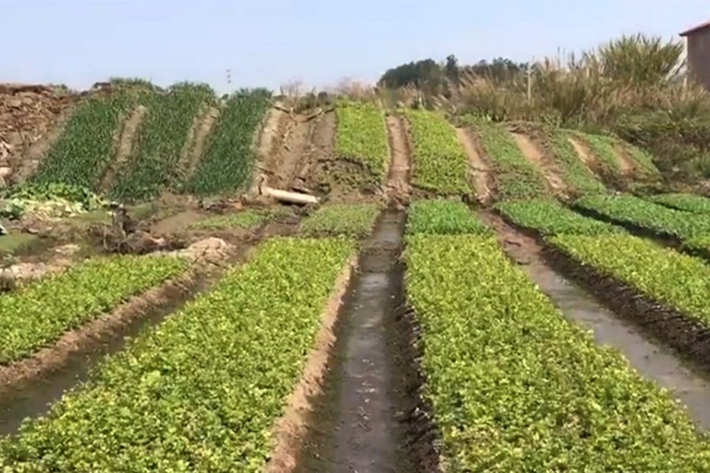 The land suddenly gained around three metres in height. Photo: qq