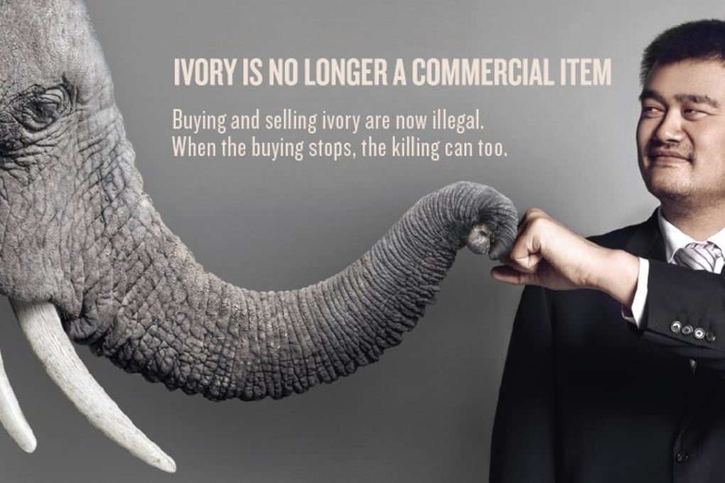 Yao Ming is just one of the Chinese celebrities starring in the latest WildAid campaign. Photo: WildAid