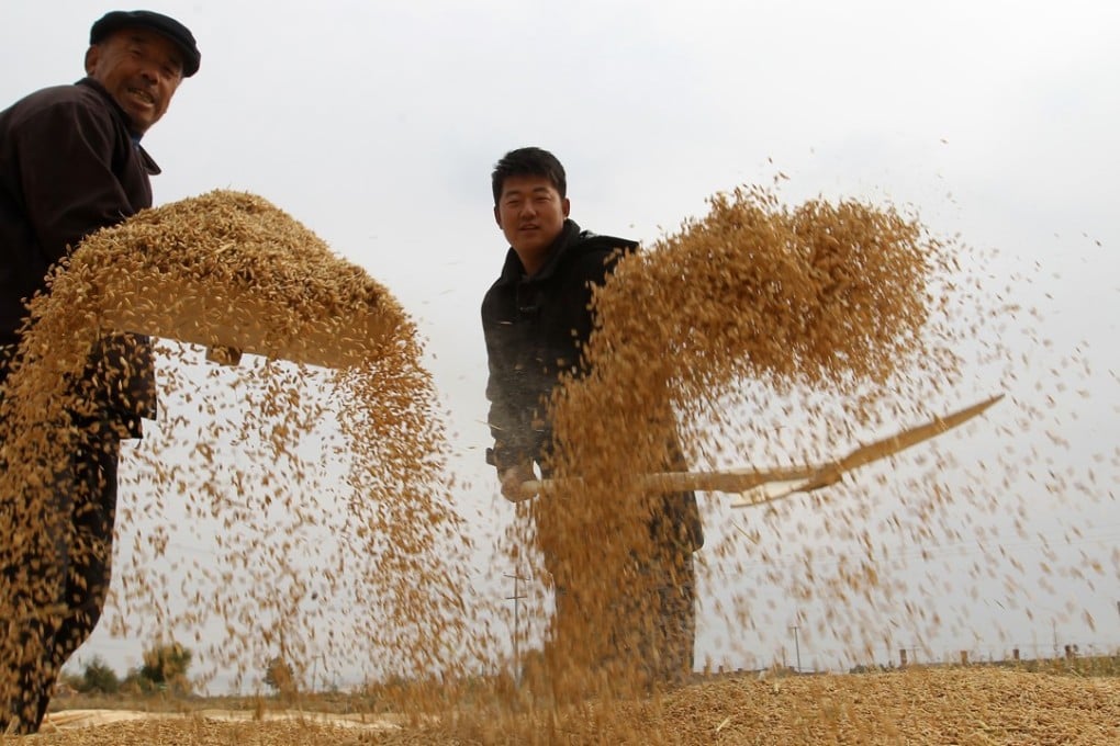 China is importing more food and leasing overseas farmland to meet growing demand as its arable land shrinks, partly due to urbanisation and pollution. Photo: Edward Wong