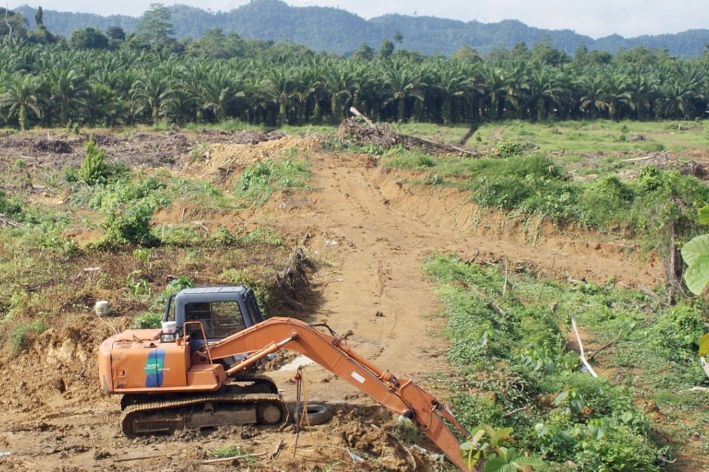 Forest is cleared for the development of palm oil plantations in Malaysian Borneo. Photo: Kyodo