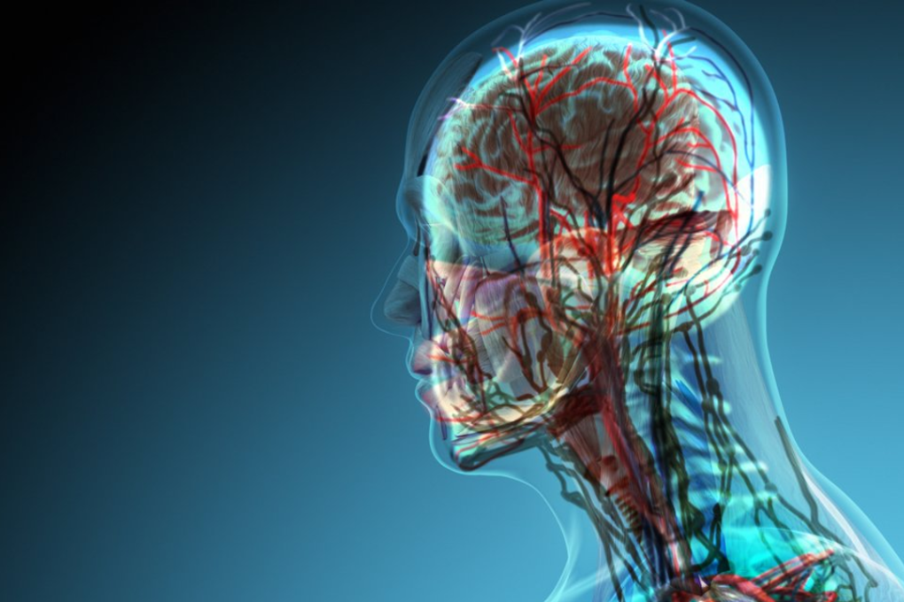 Photo: Shutterstock/Yevhen Vitte