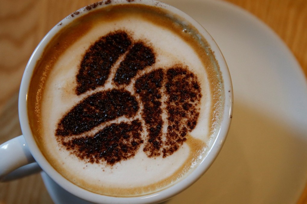 The Council for Education and Research on Toxics, a non-profit group, sued Starbucks and about 90 other companies under a state law that requires warnings on a wide range of chemicals that can cause cancer. One is acrylamide, a carcinogen present in coffee. Photo: Reuters