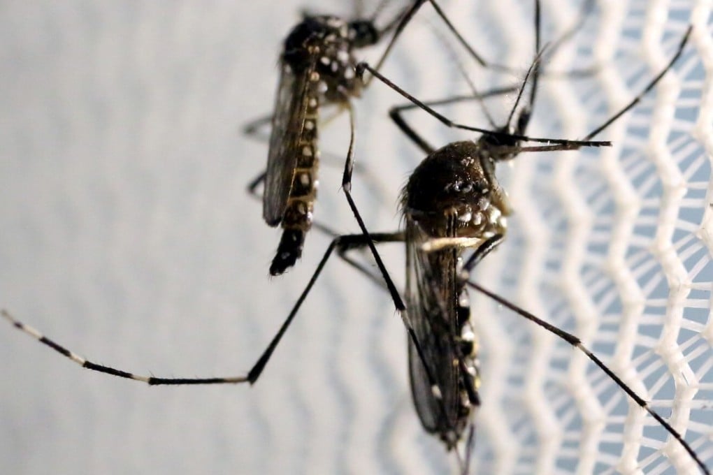 Deadliest creature on Earth: mosquitoes cause more than 1 million deaths each year. Photo: Reuters