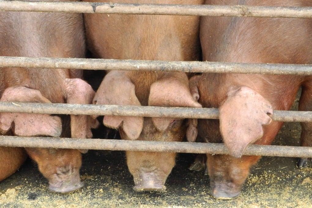 China on Sunday imposed tariffs of up to 25 per cent on 128 US imports, including pork and fruit, but it has yet to fire its biggest guns. Photo: AFP