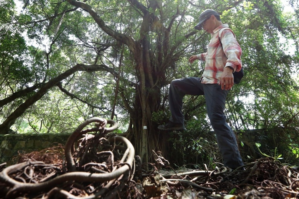 Several historic structures were found in Chi Fu Valley, a site rich in heritage and nature. Photo: