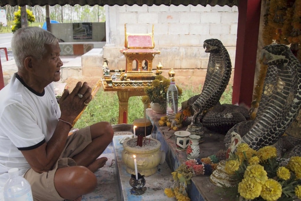 Villager Sommard Marurat prays at his shrine to king cobras, which Thais refer to as angel snakes, in the southern Thai province of Nakhon Si Thammarat. Photo: Tibor Krausz
