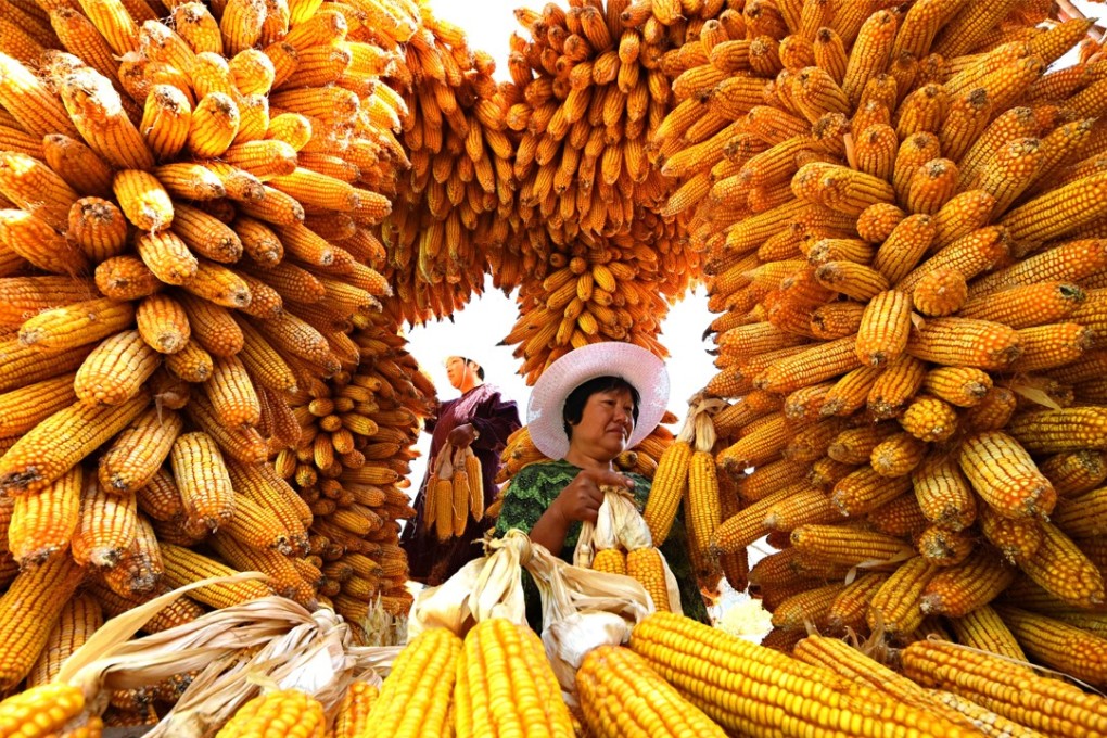 Farmers dry corn cobs in Gengzhuang village in Shandong province, in October 2017. China recently announced tariffs on US$50 billion worth of US goods, including corn products. Photo: Xinhua