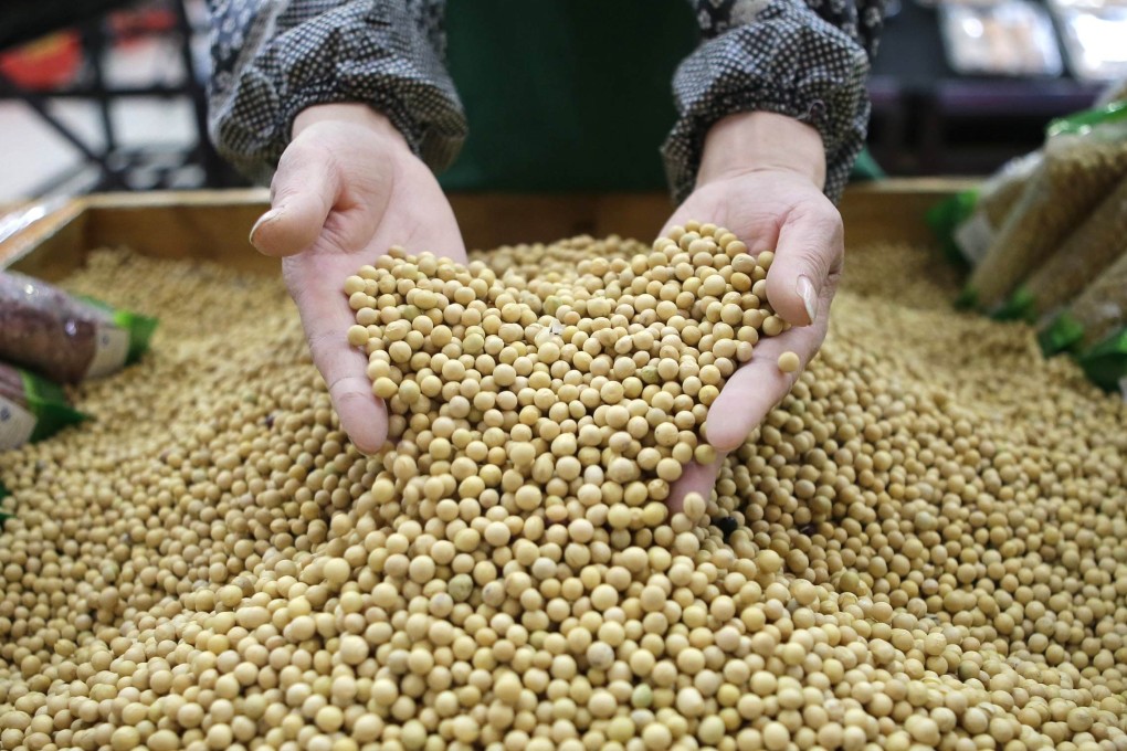 Chart of the day: Dalian soybean gathers momentum