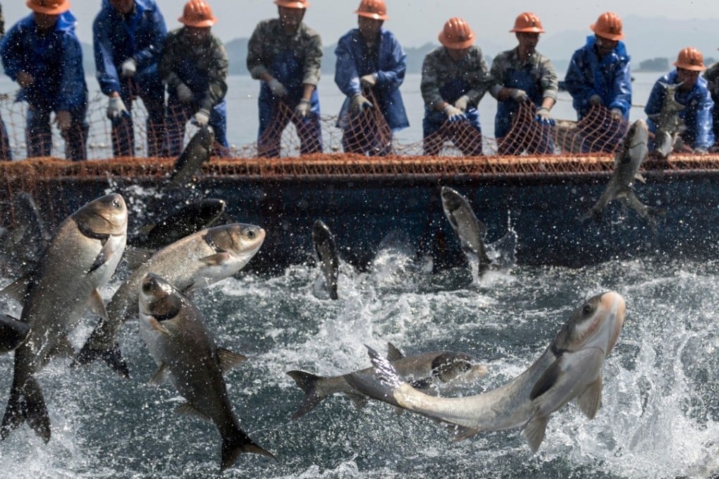 Fishermen pull in a net to catch fish in Qiandao lake in Zhejiang province. Photo: Agence France-Presse