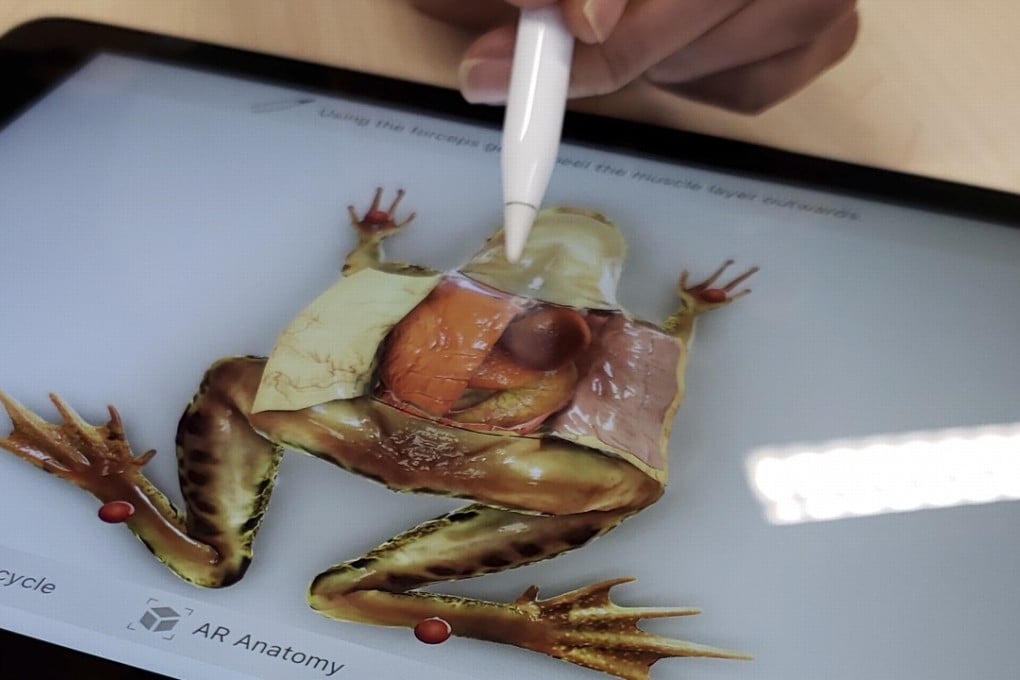 Dissecting a virtual frog on the Froggipedia app. Photo: Ben Sin