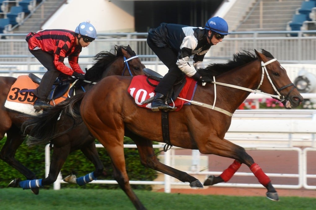 Exultant, from the Tony Cruz stable, became the latest entrant to withdraw from the QE II Cup. Photos: Kenneth Chan