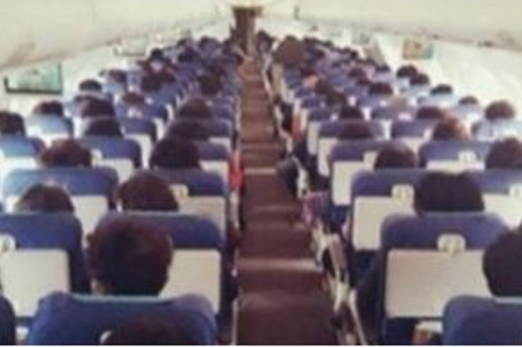 This is the photo of passengers posted on Instgram by an Air Busan flight attendant who dubbed it a "broccoli farm" due to the identical hairstyles. Photo: Yonhap