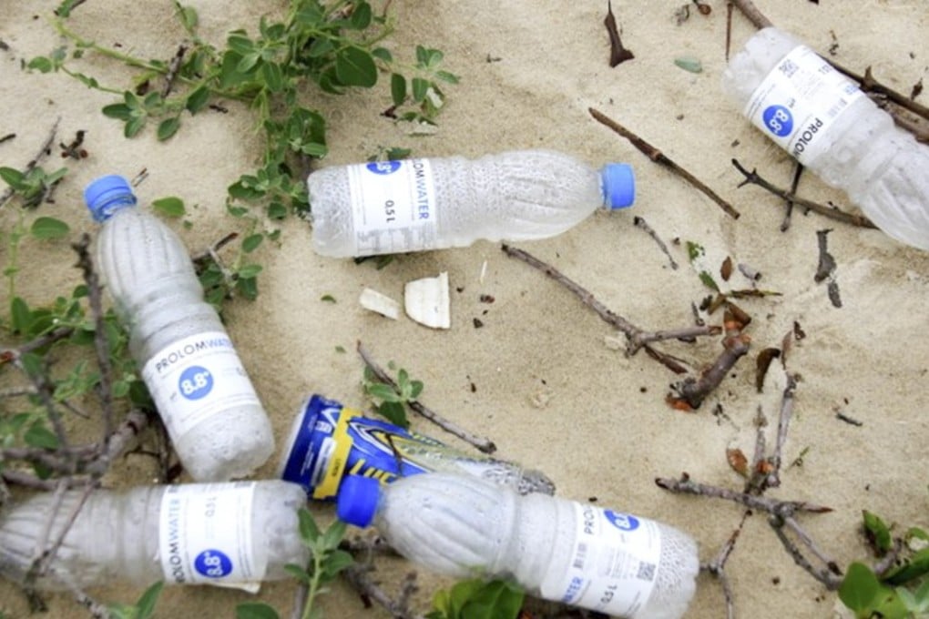 Most of the drinks bottles found on the beach were from the brands Lucozade and Prolom water. Photo: Handout