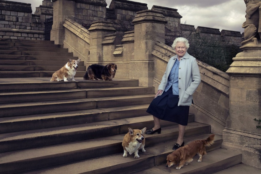 A 90th birthday photograph of Britain’s Queen Elizabeth shows her in the grounds of Windsor Castle with her dogs (clockwise from left) Willow, a corgi, Vulcan, a dorgie, corgi Holly and dorgie Candy. Photo: Annie Leibovitz via AP/Files