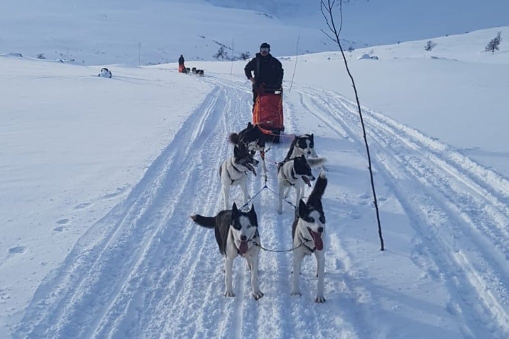 Philip Murton rides a dogsled through the arctic. Photos: Handout