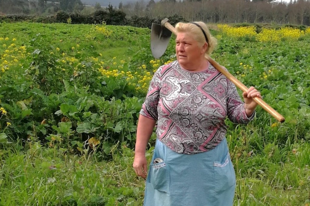 Dolores Leis stands in a field on her farm in Galicia, in northern Spain, on April 19, 2018. Leis, has found unexpected fame on social media after many found she bore a striking resemblance to US President Donald Trump. Photo: AP