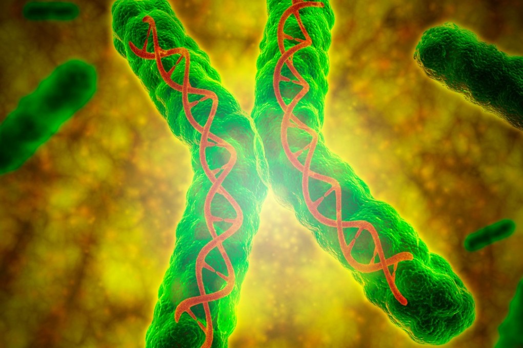A new study says understanding of human telomerase disease mutations (pictured) may help people live longer. Photo: Alamy
